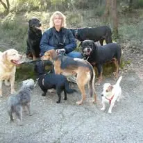Odette avec des chiens