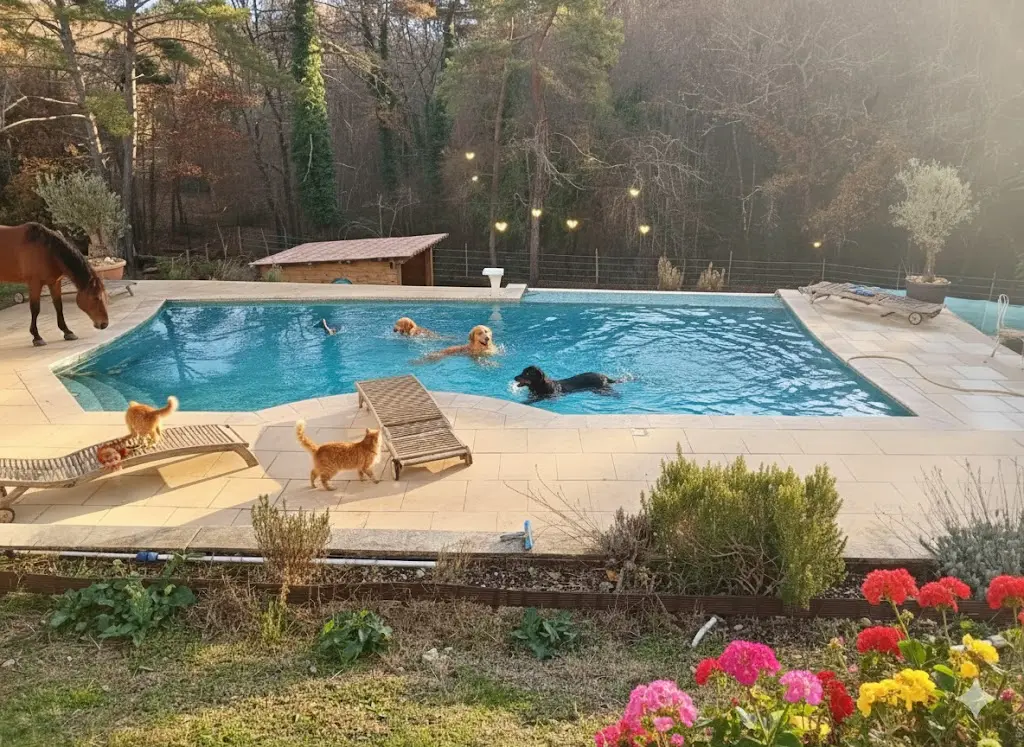 Jardin sécurisé pour chiens et chats à Saint-Paul-en-Forêt